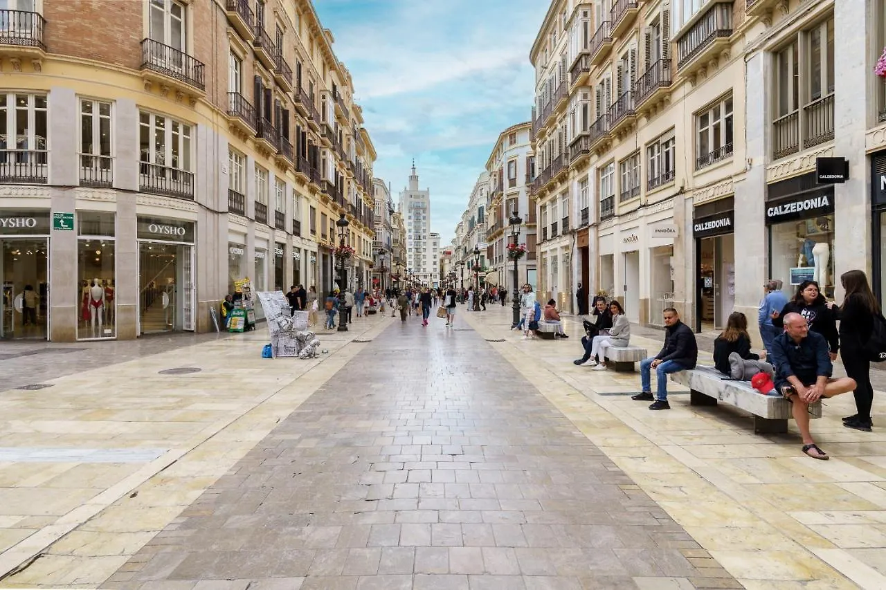 Apartamento Moderno Calle Larios Málaga